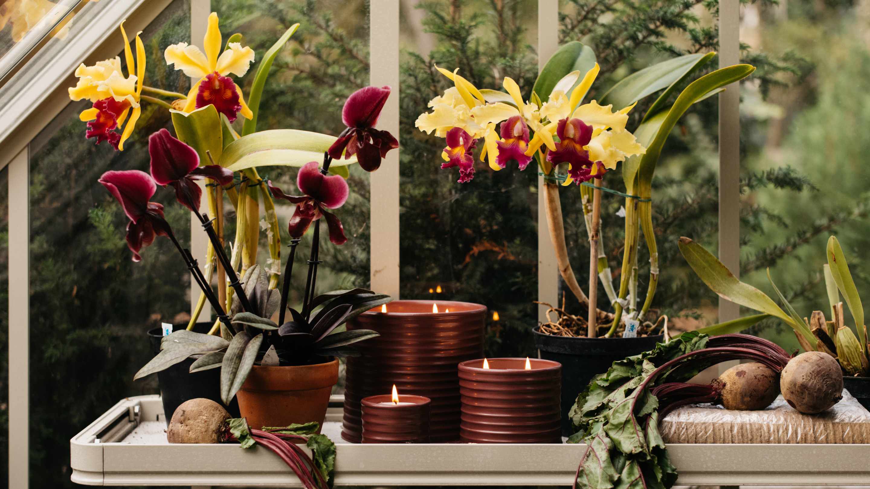 Aroma collection for your Home