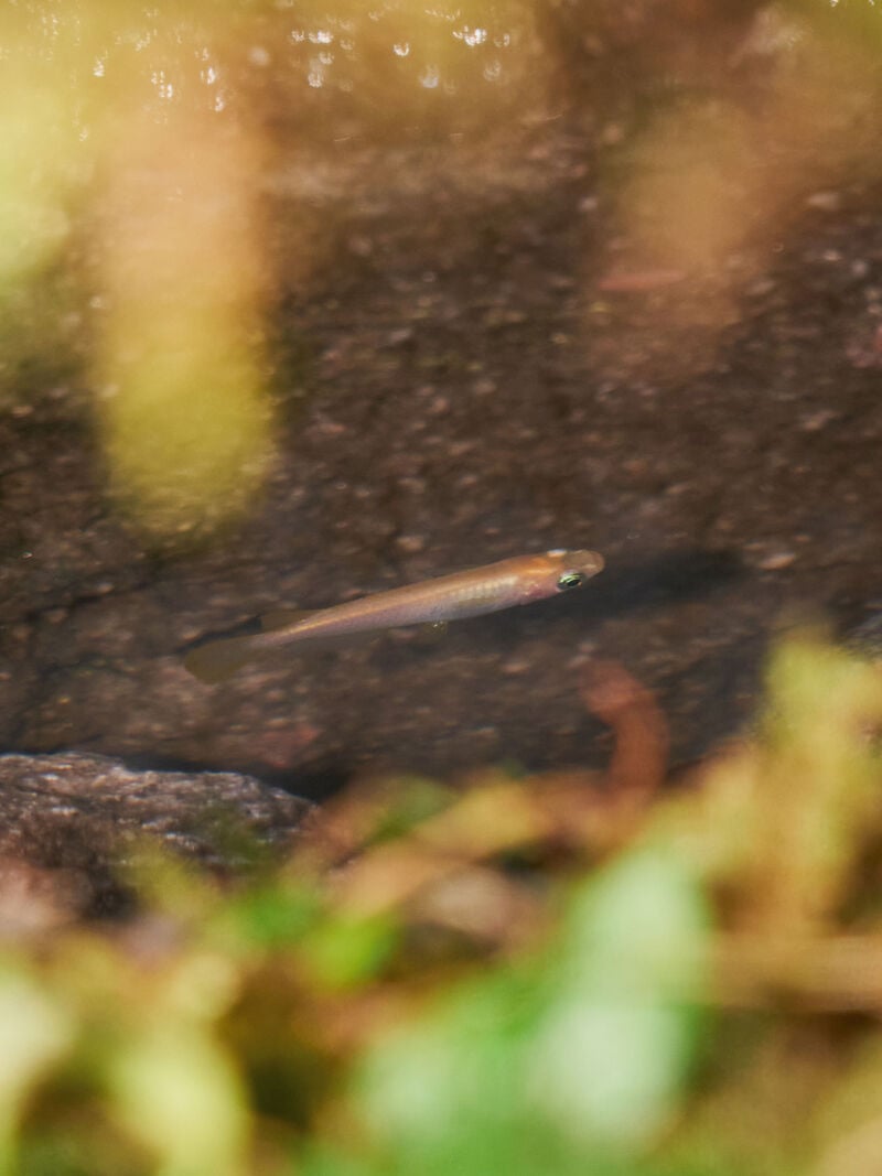 Slider image 3