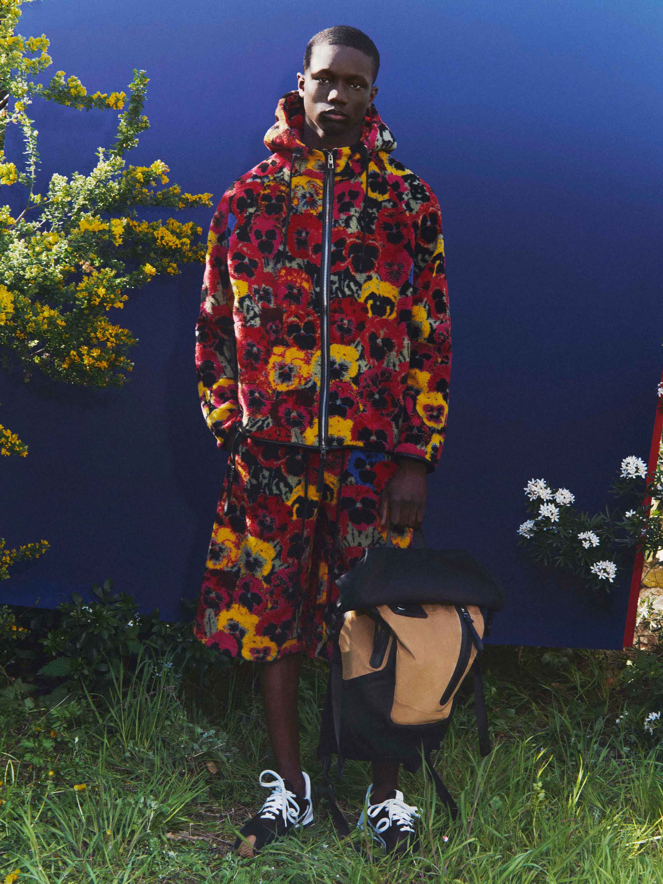 loewe france website