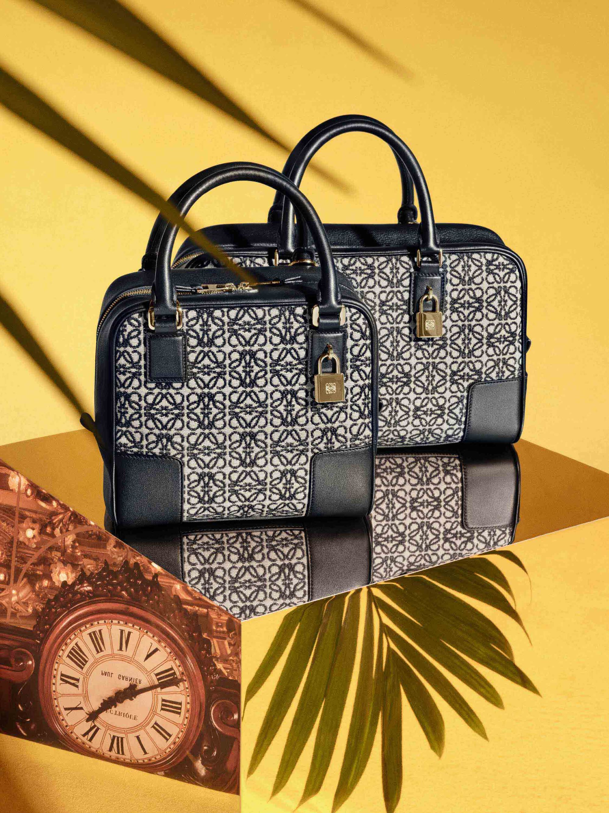 LOEWE The Amazona bag 價格以官方為準確 LOEWE The Amazona bag 價格以官方為準確