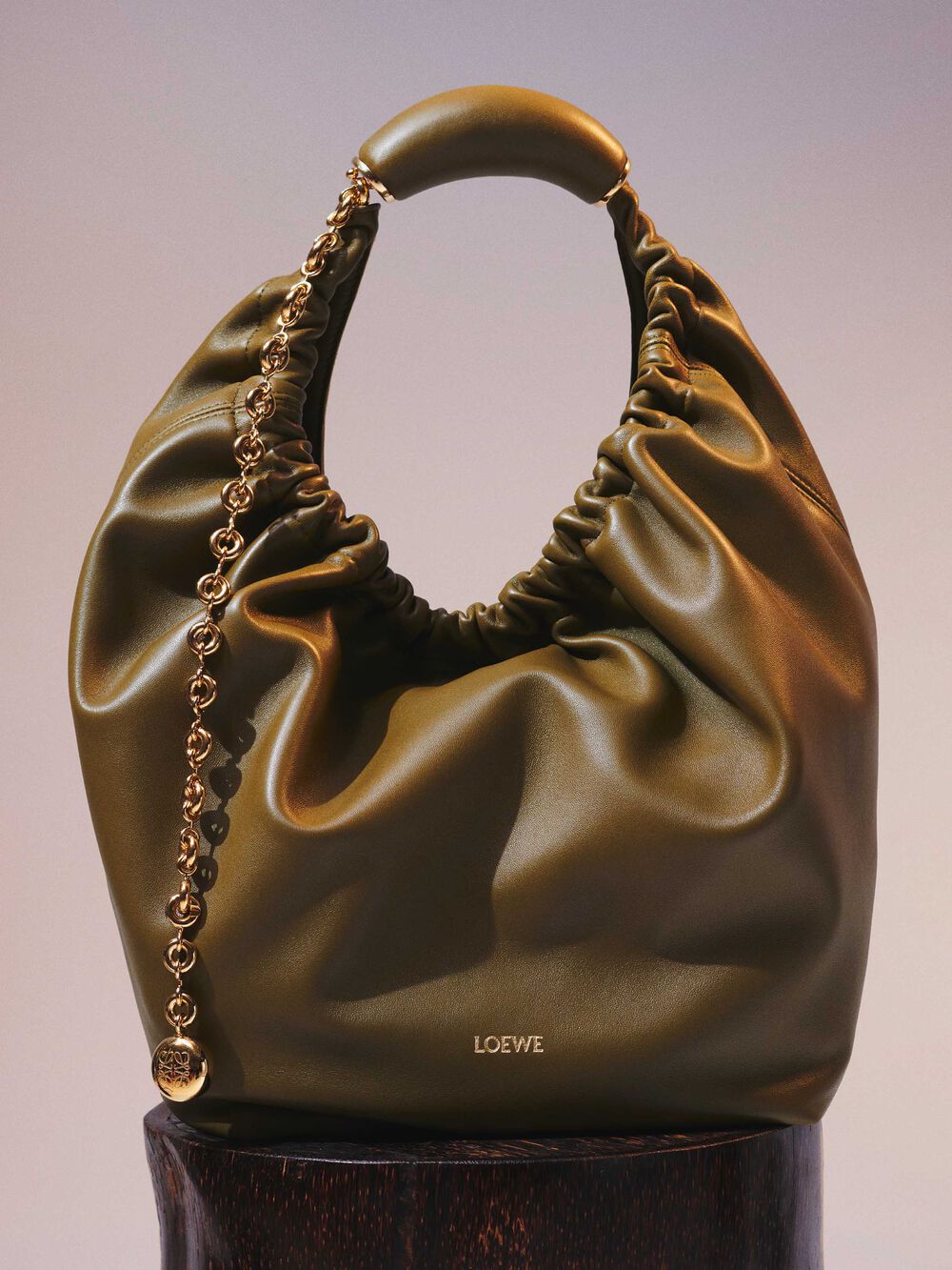 LOEWE Paseo leather shoulder bag in 2023