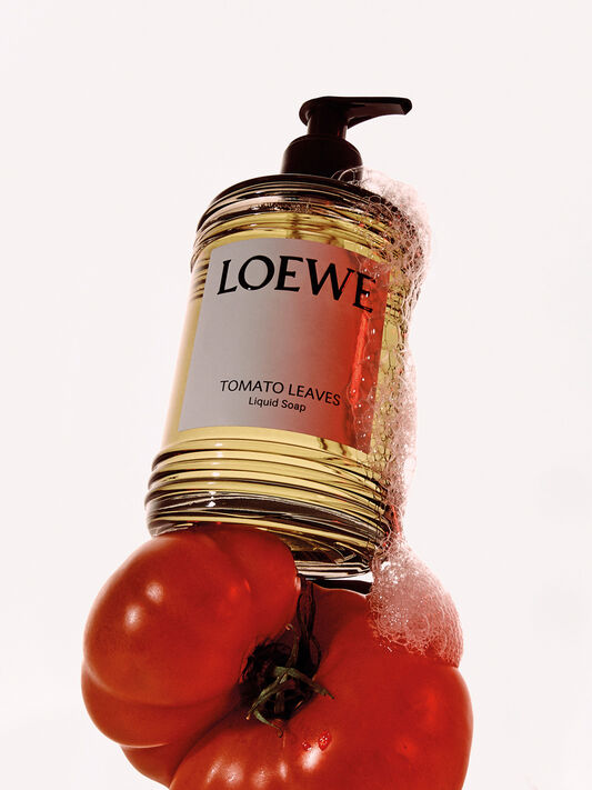 LOEWE I Tomato soap