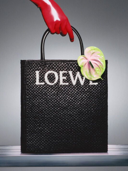 Loewe Women's Standard A4 Raffia Tote Bag - Natural - Totes