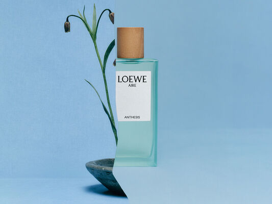 Botanical Rainbow campaign