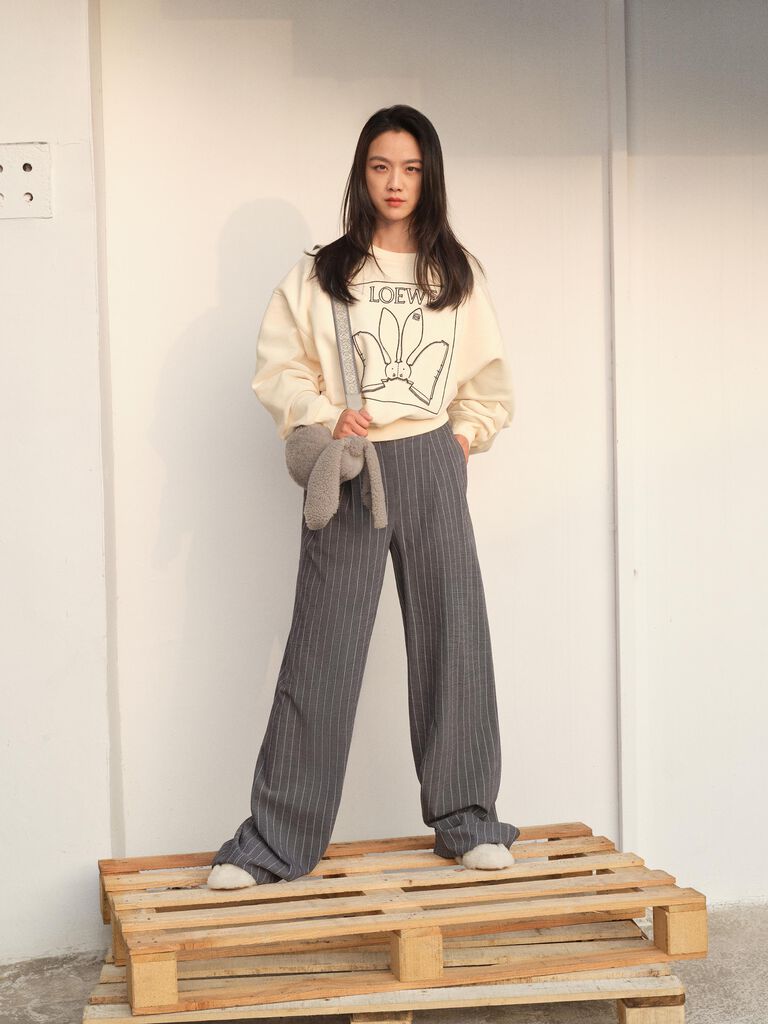 Year of the rabbit collection