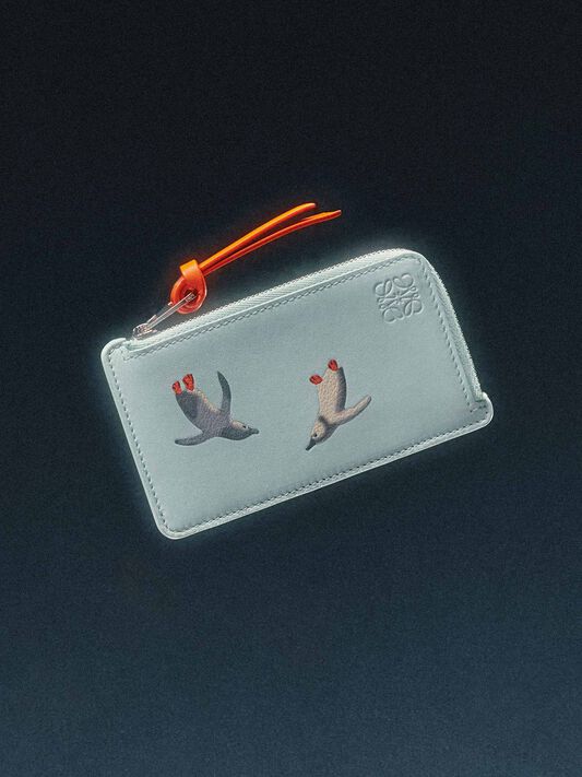 LOEWE I SS24 Men collection