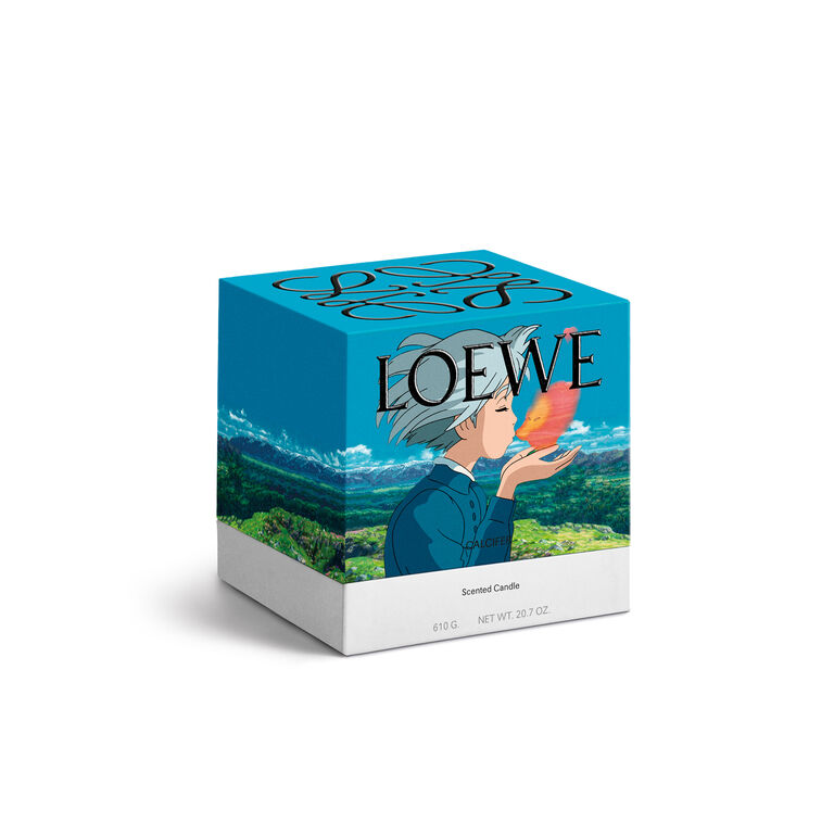 Howl’s moving castle collection. LOEWE