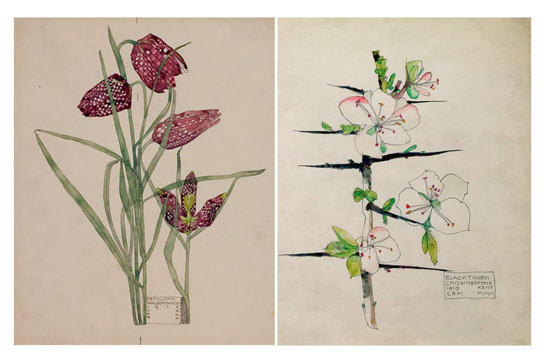 LOEWE Mackintosh Conversations LOEWE