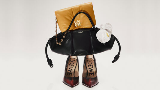 Loewe Bag in 2023  Bags, Loewe bag, Shoe stores online