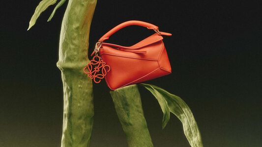 Bolsos de lujo para mujer - LOEWE