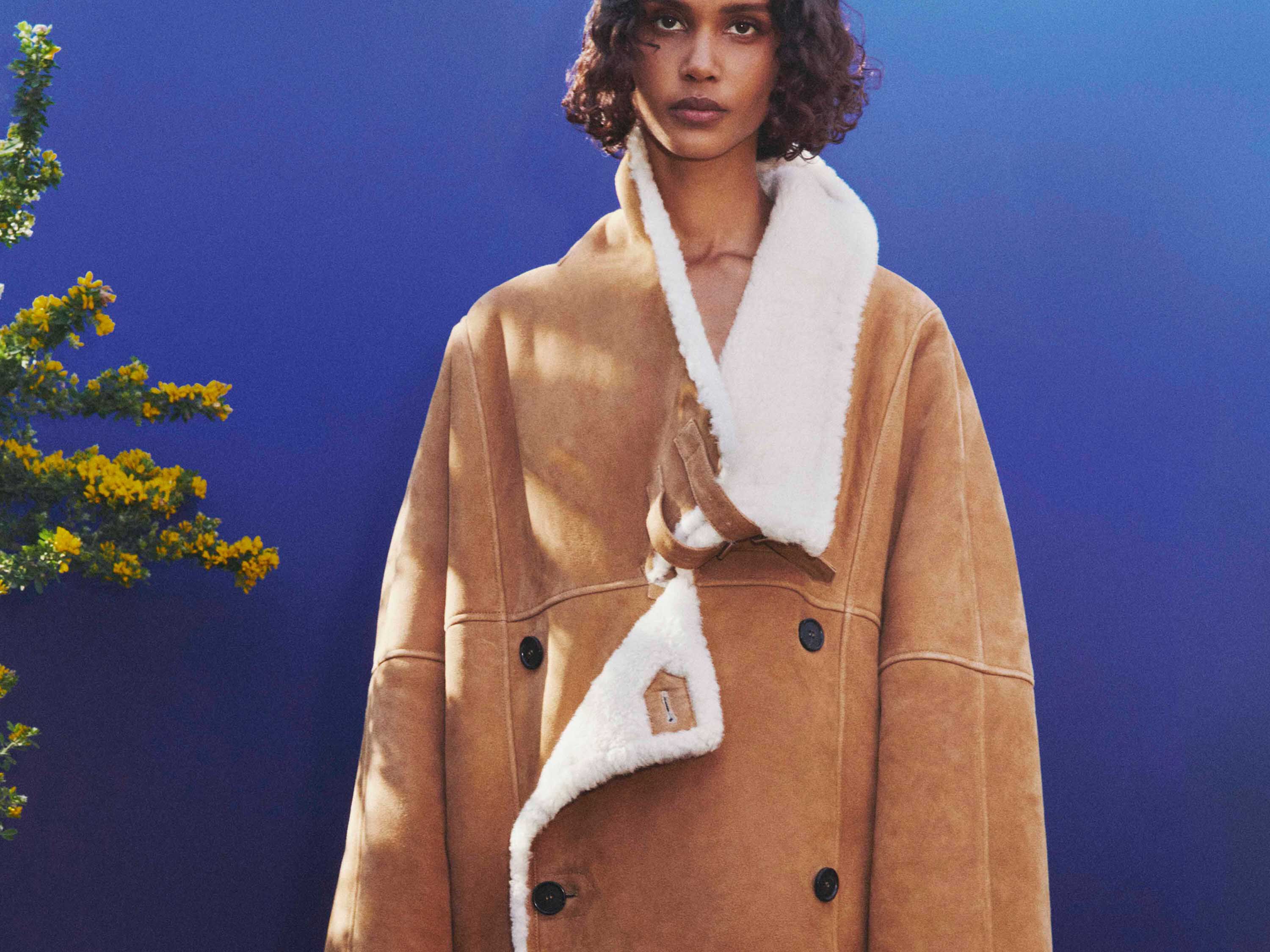 loewe france website