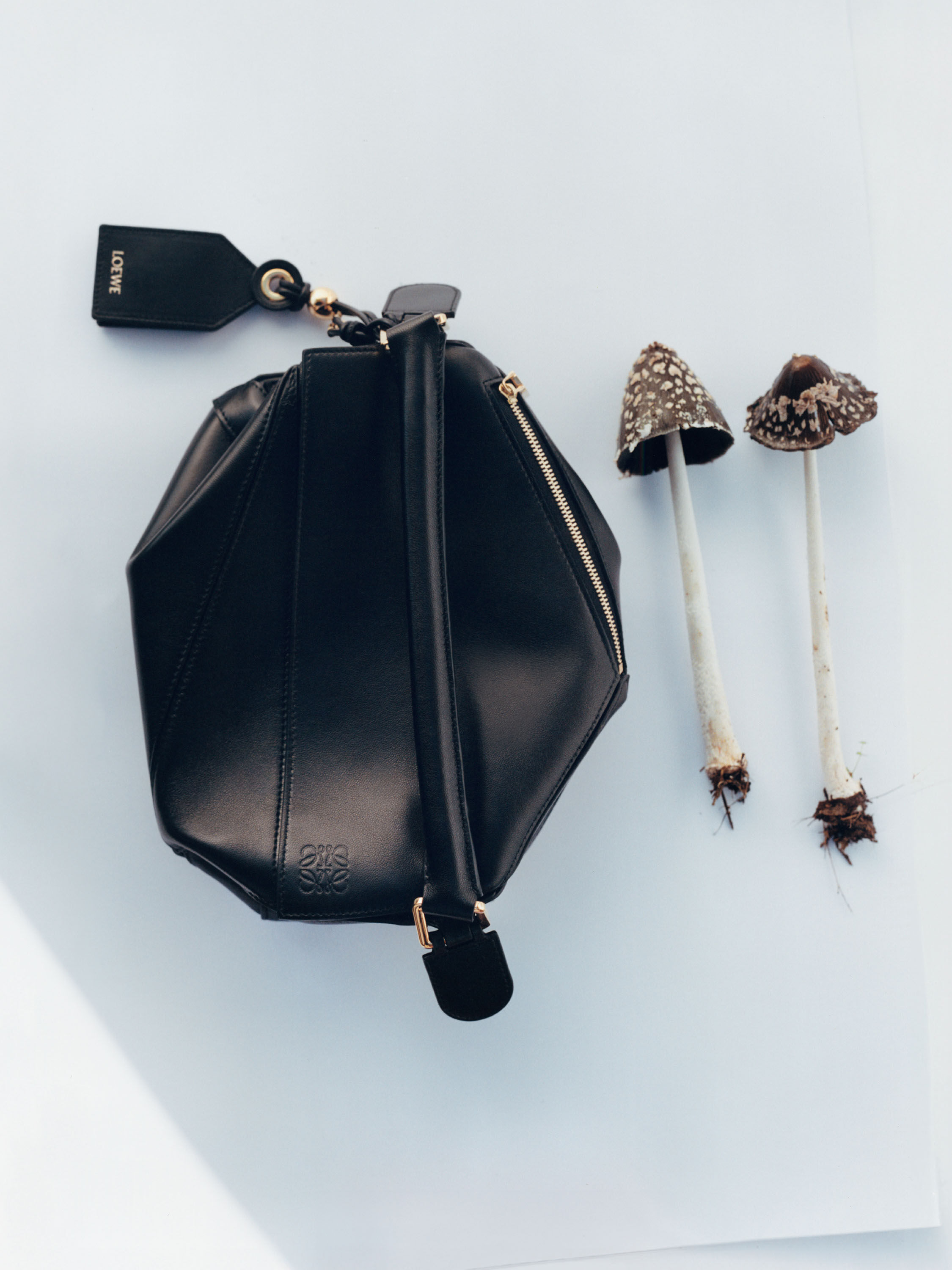 多慶屋公式サイト / ロエベ LOEWE ショルダーバッグ フラット ガゼット 