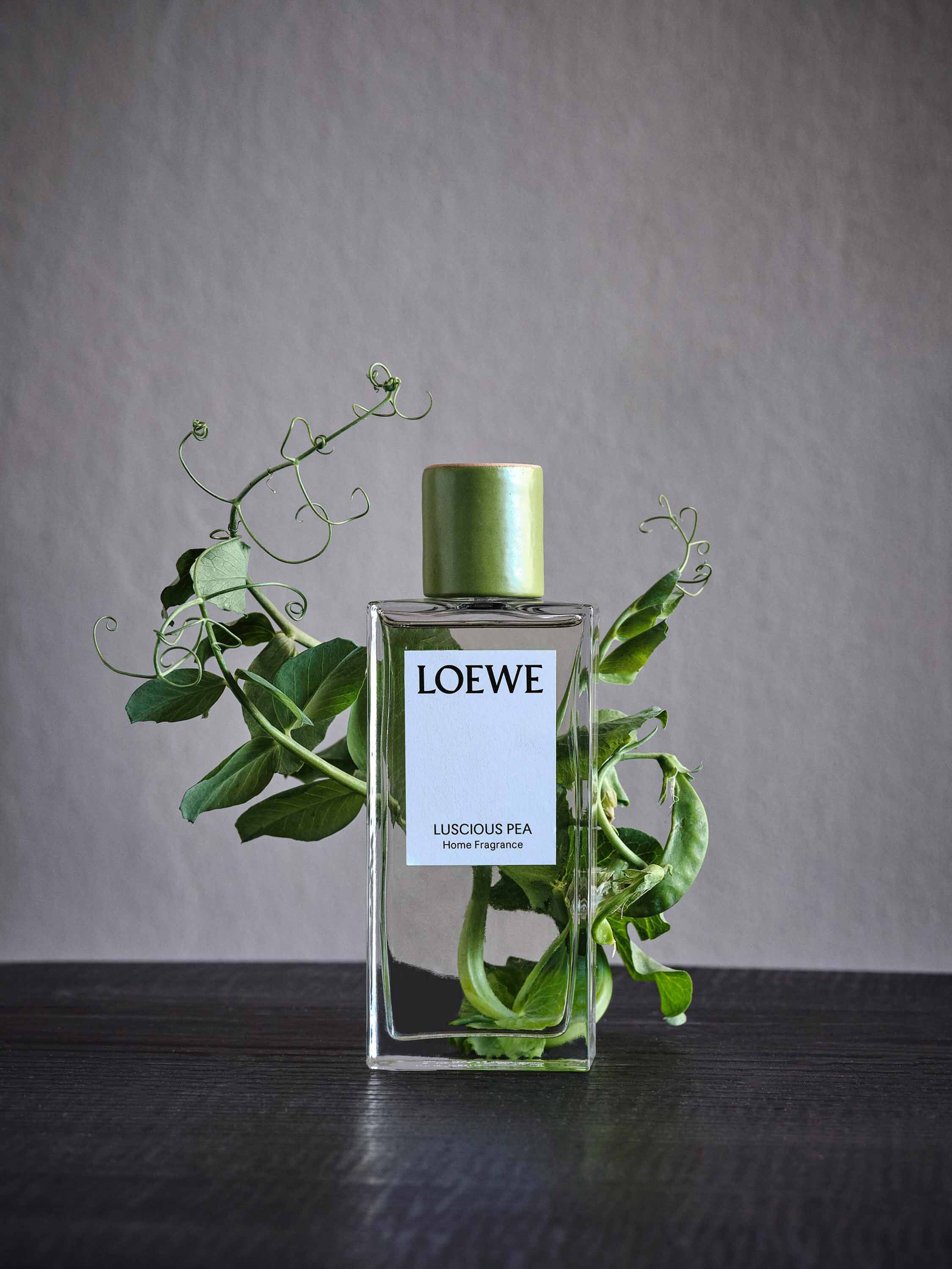 ラシャスピー キャンドル ミディアム ライトグリーン - LOEWE