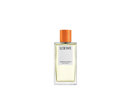 LOEWE I Orange blossom