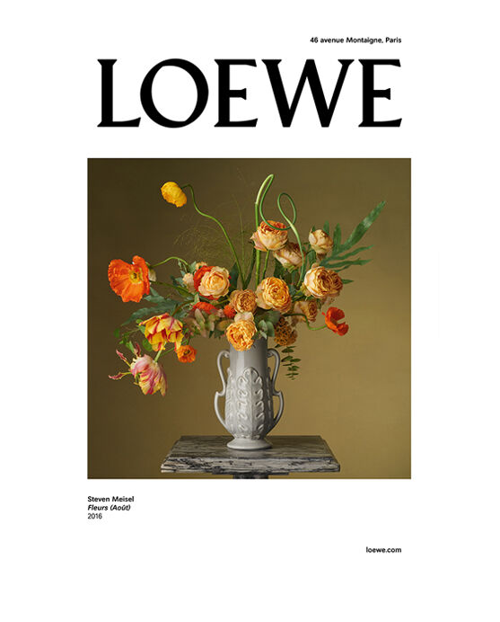 Loewe Campaigns - LOEWE