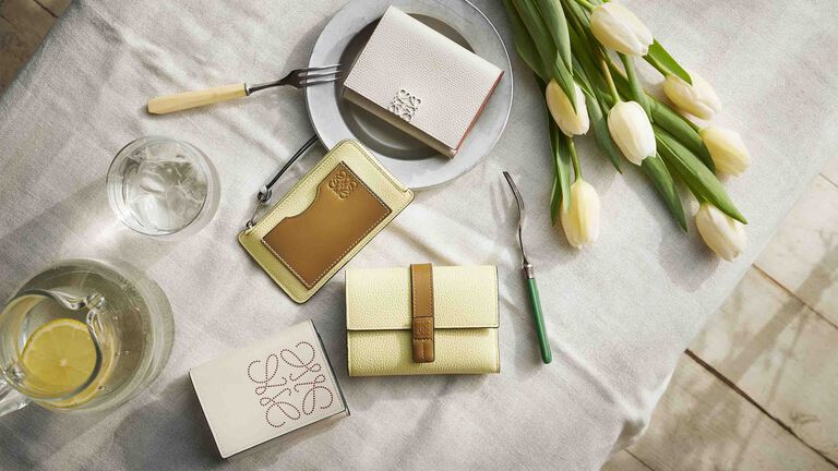 Luxury wallets & small leather goods for women