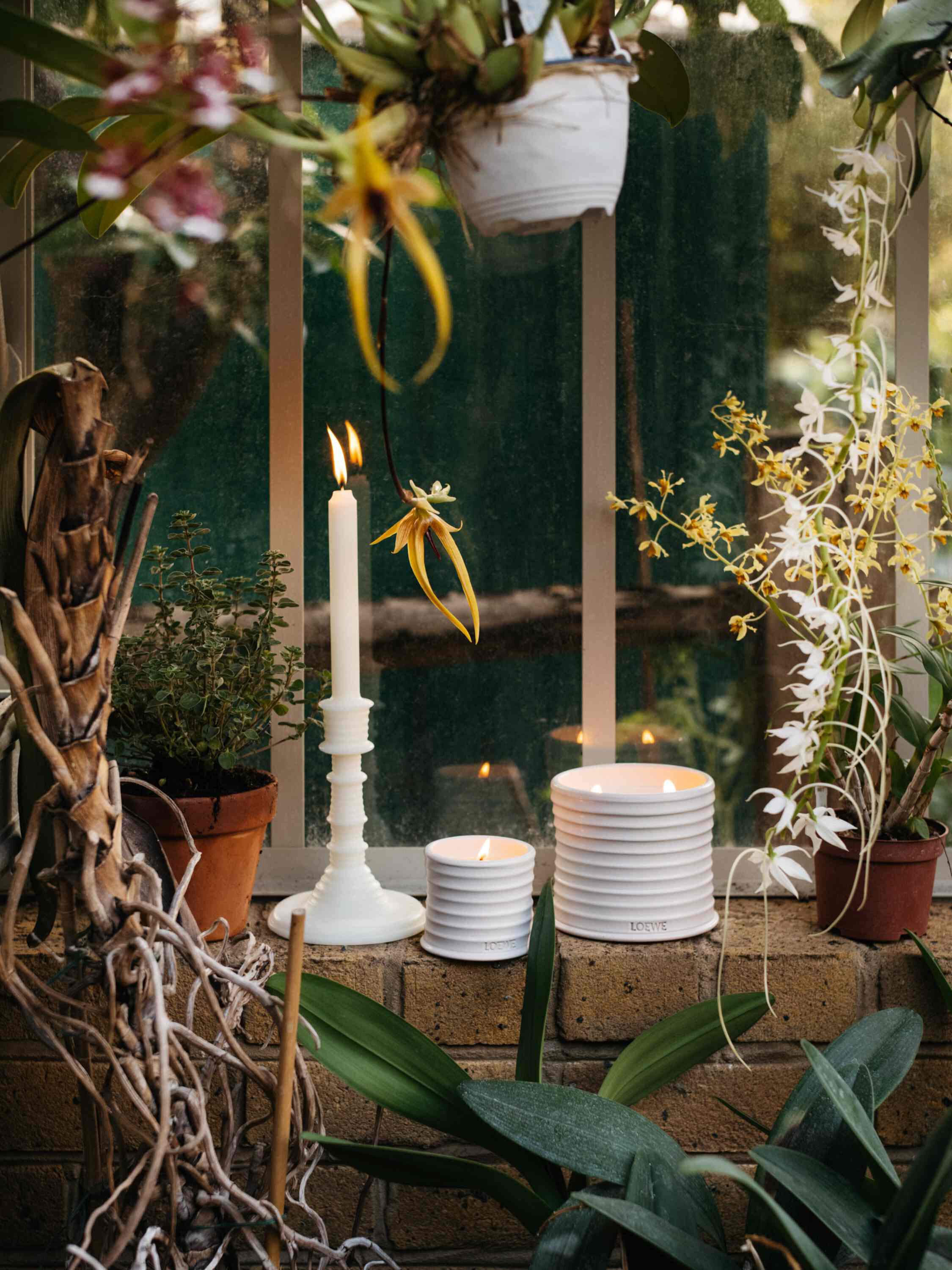 loewe home collection