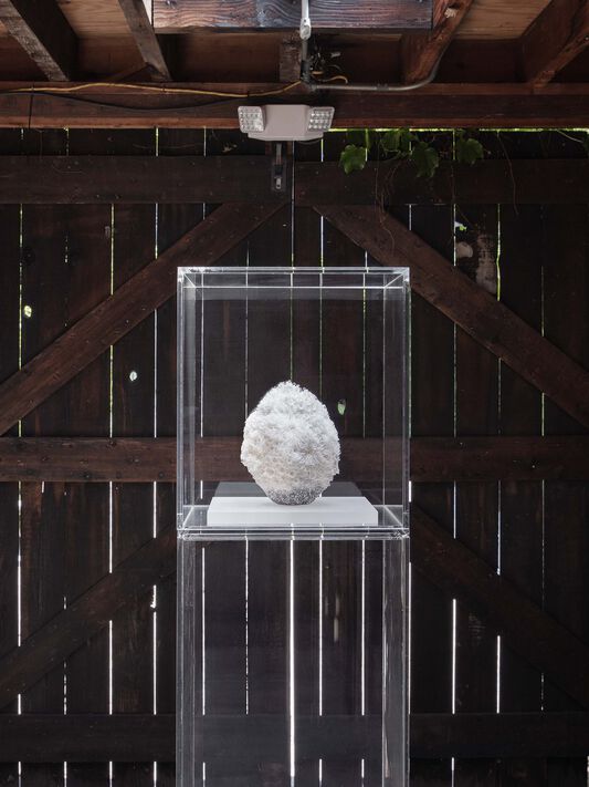 LOEWE New York City Exhibition