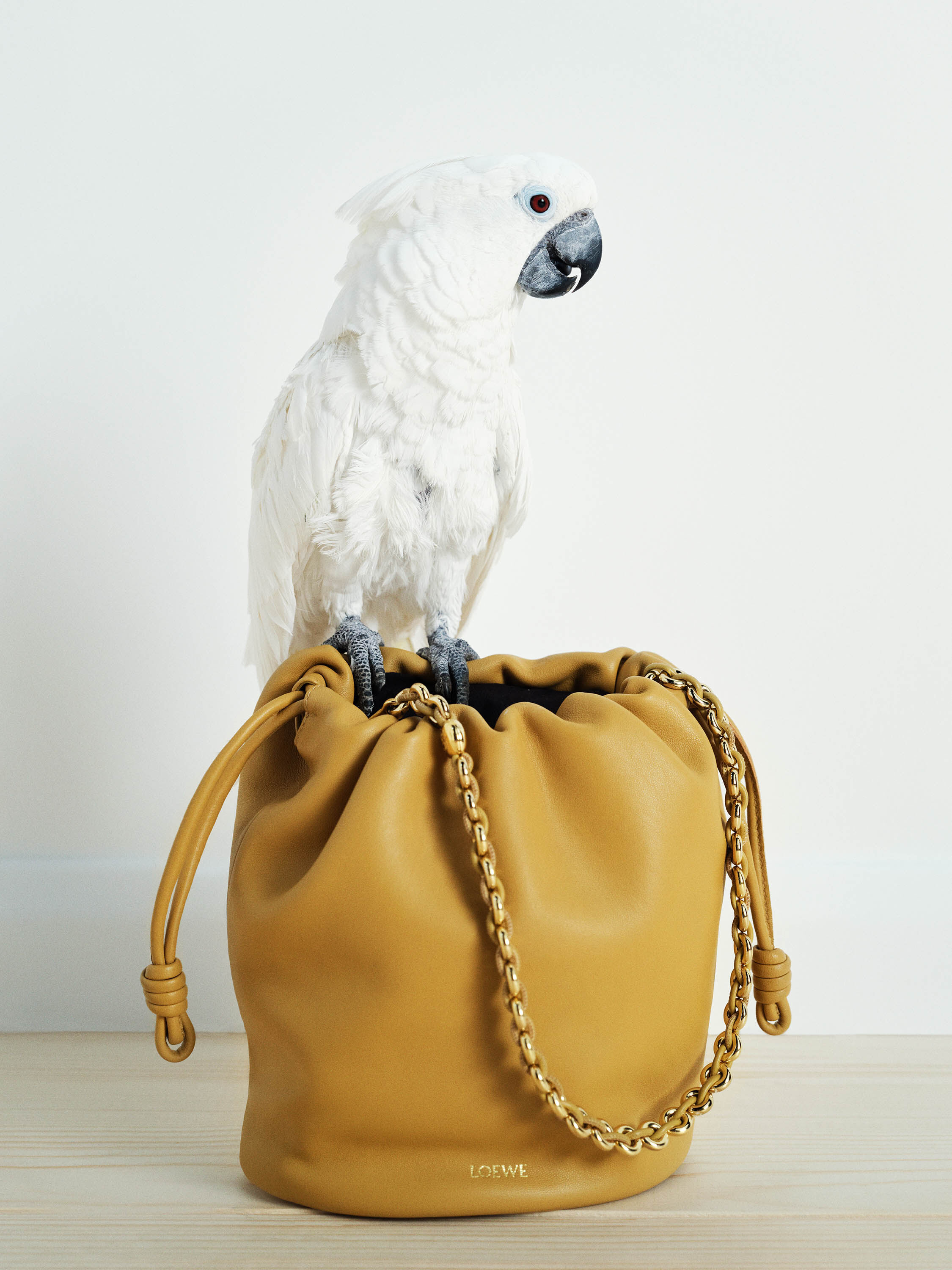 LOEWE × paula