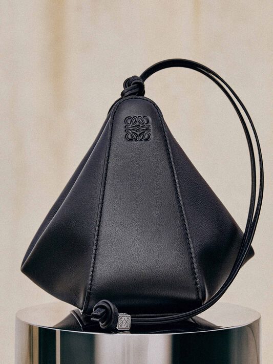 Mini Hammock Hobo bag in classic calfskin