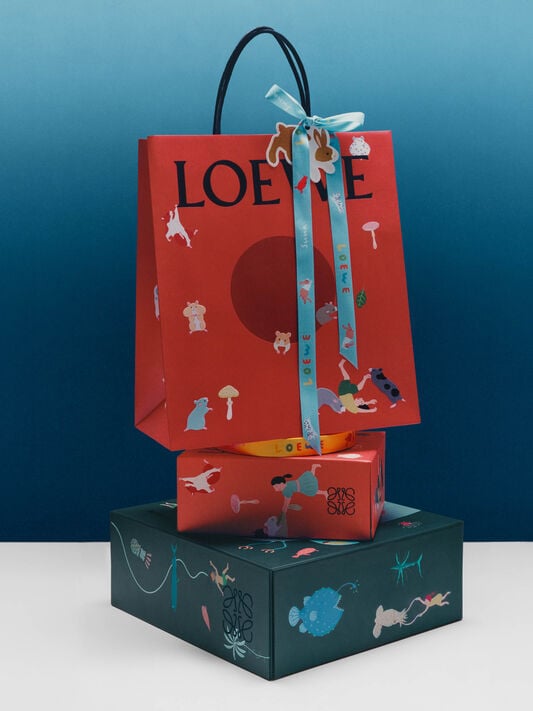 LOEWE I Chrismtas packaging