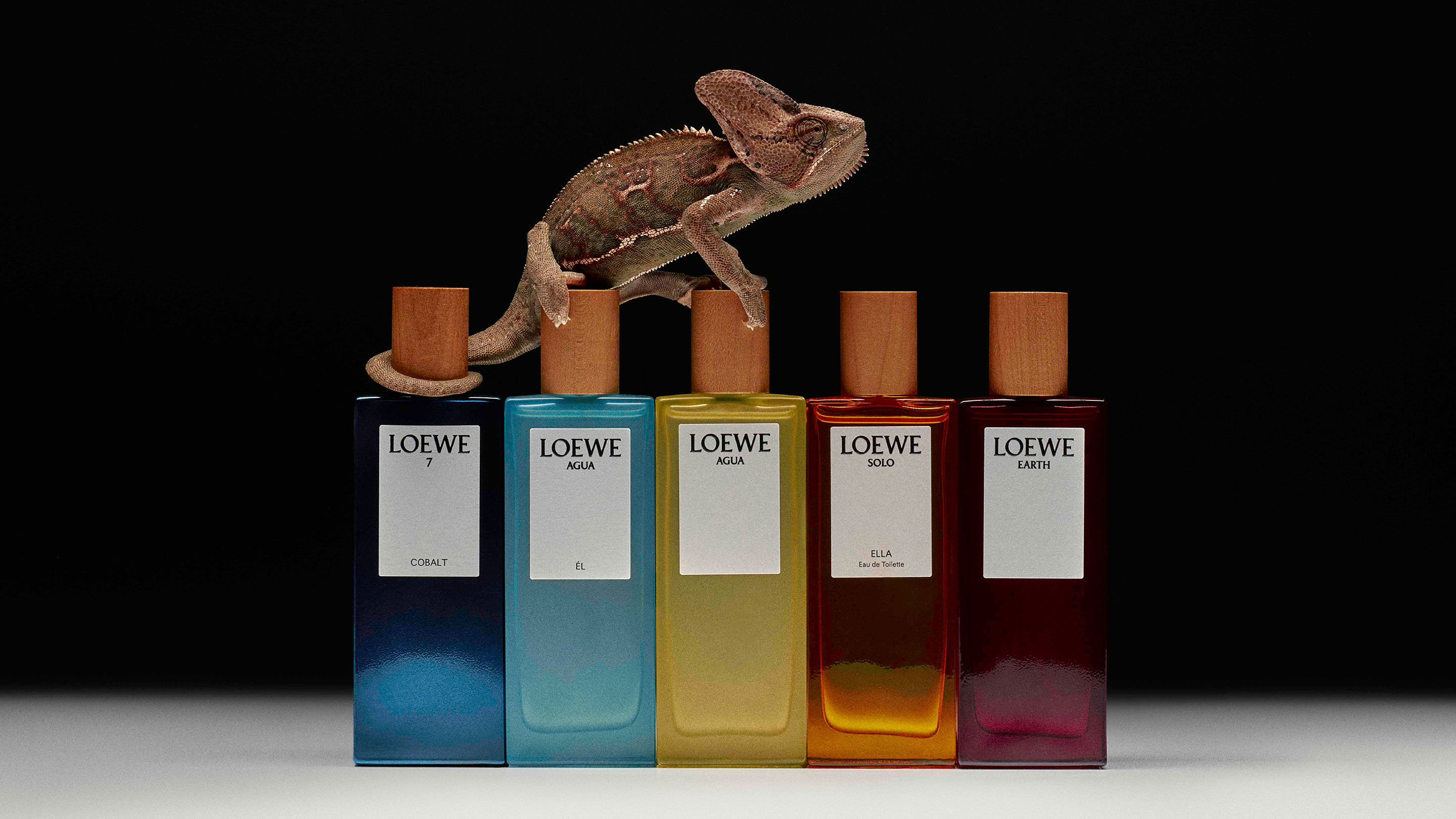 ウィメンズ フレグランス｜ロエベ 公式サイト - LOEWE