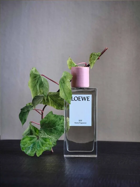 Small Ivy candle