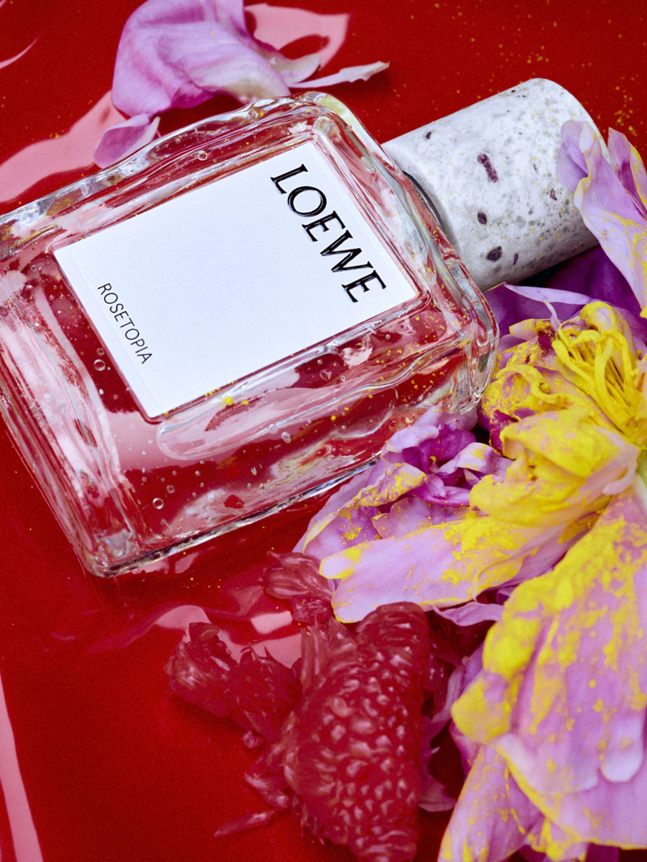LOEWE - - ロエベ 日本 公式サイト