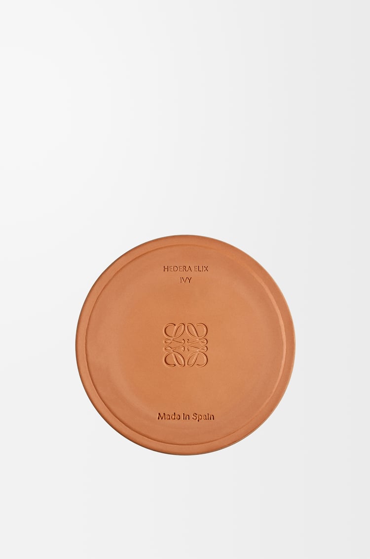 LOEWE Medium Ivy candle Light Pink