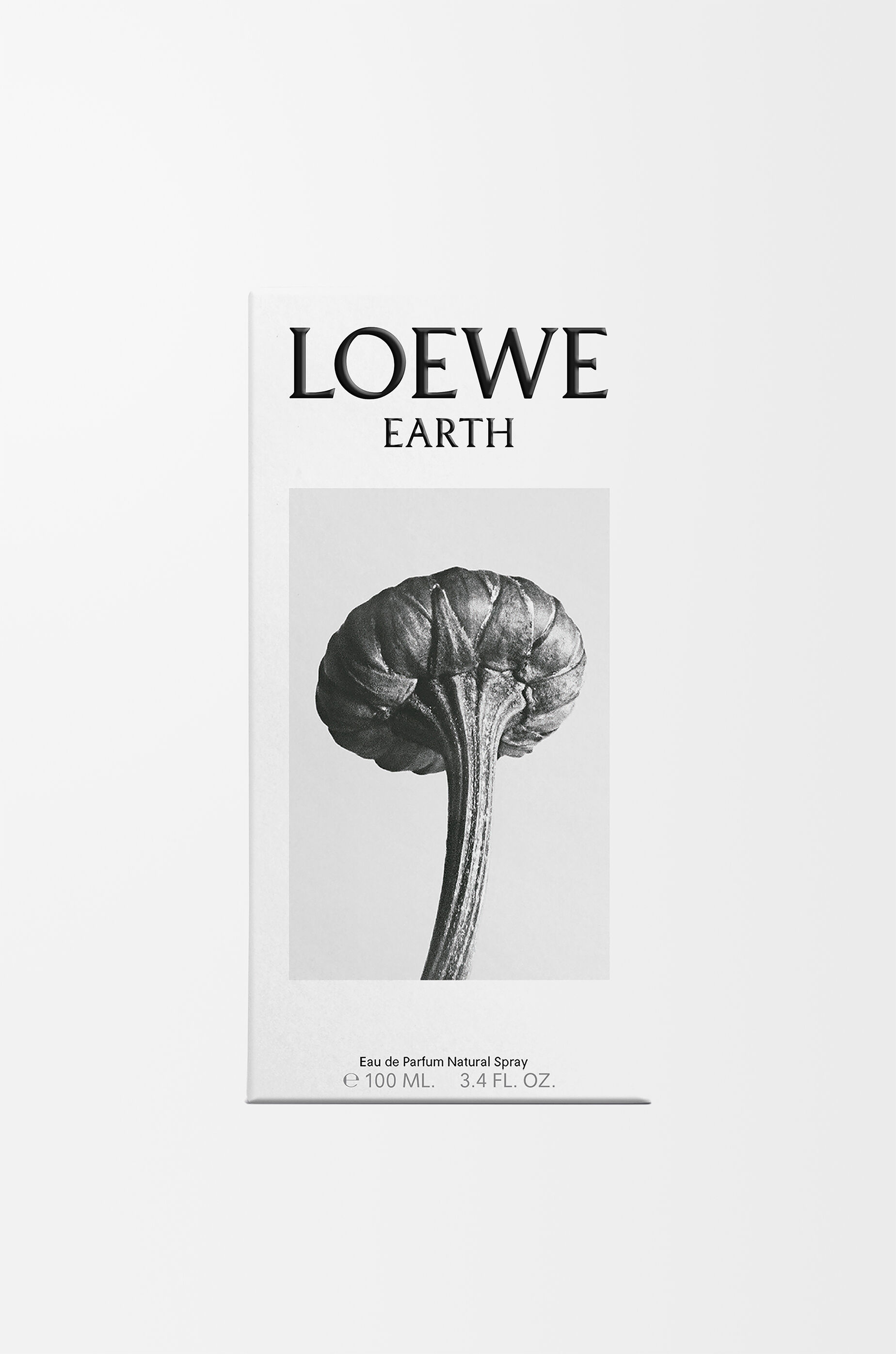 クリスマスファッション 100ml パルファム オードゥ アース ロエベ パープル LOEWE - 香水(ユニセックス)