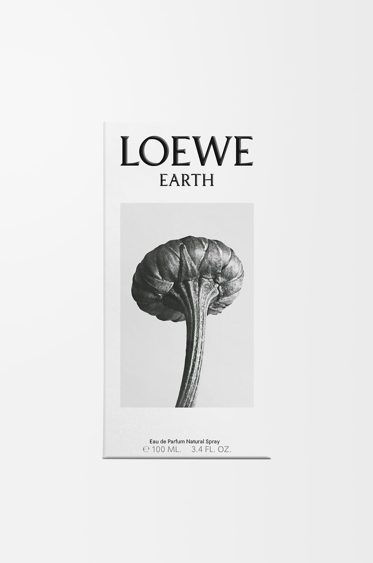LOEWE LOEWE Earth 淡香精 100ml 紫色