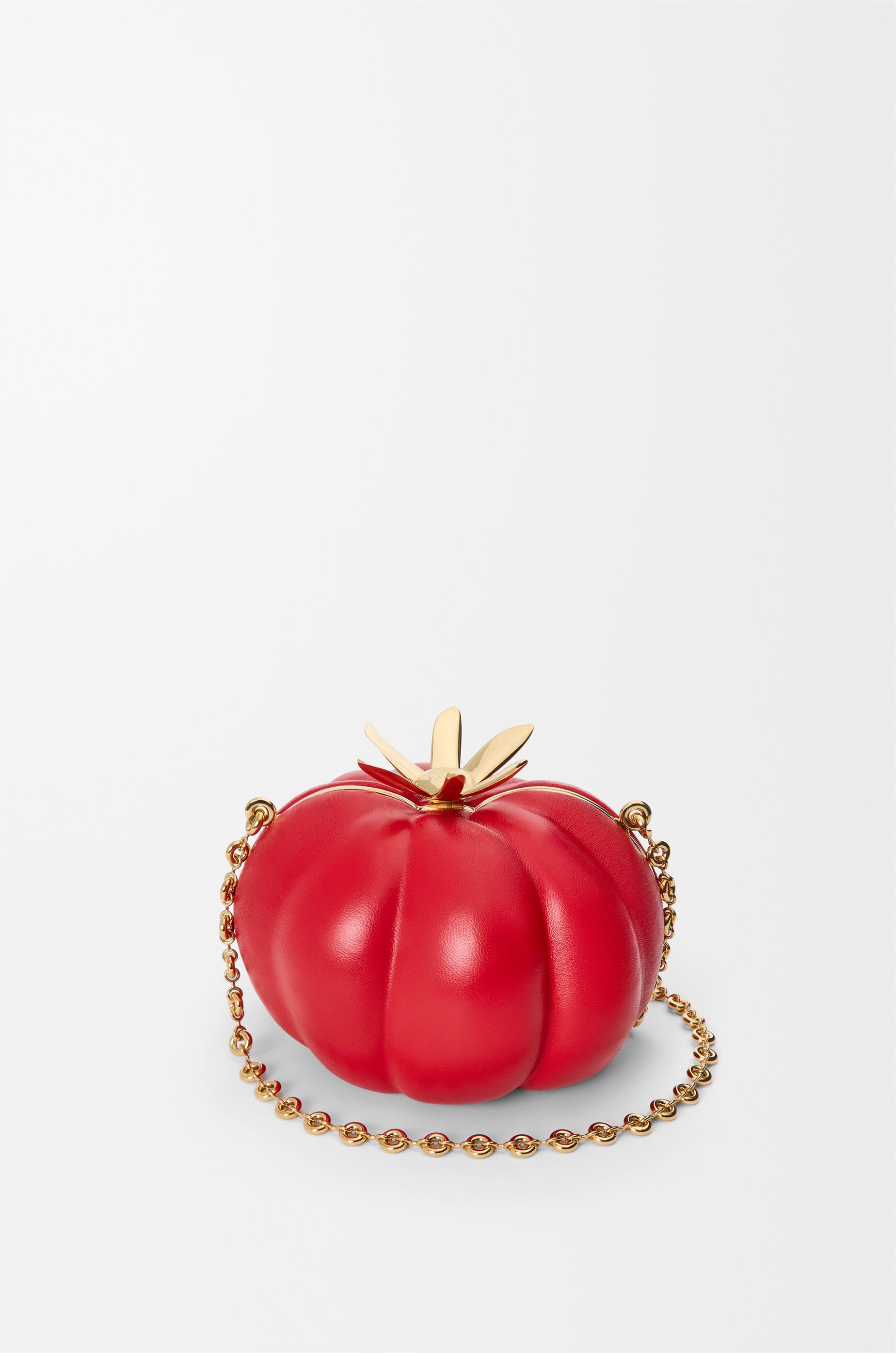 新発売 新商品 クラッチ（ナパラム） トマト レッド LOEWE - ドッグフード