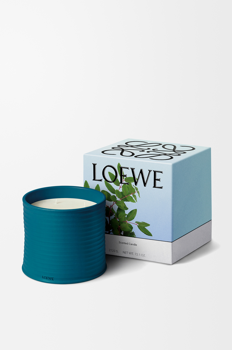 LOEWE 大型線香蠟燭 深藍色