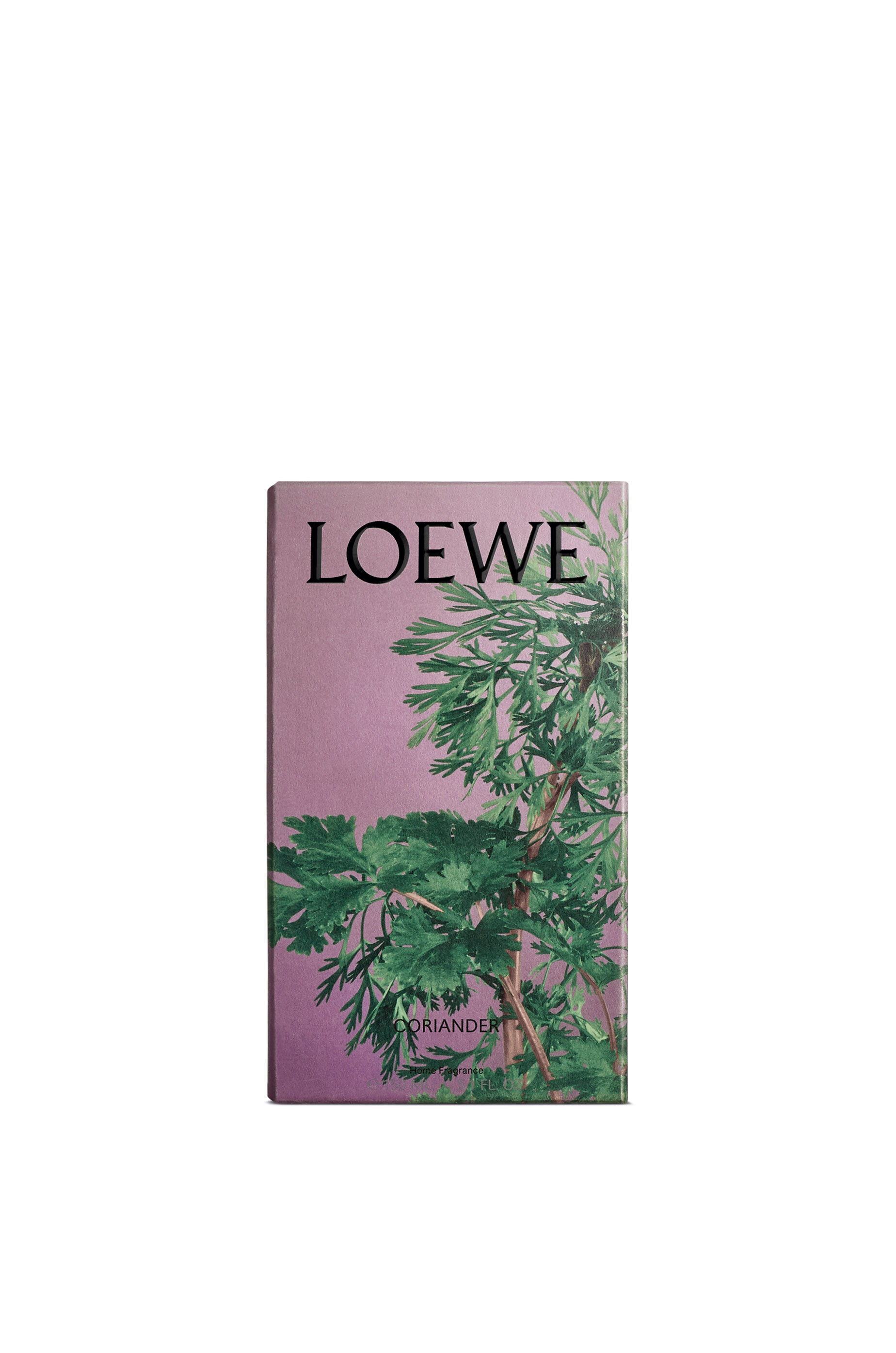 LOEWE 美しく ロエベ キャンドル CORIANDER 170G