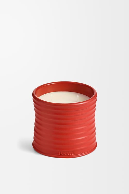 LOEWE Vela mediana Tomato Leaves Rojo