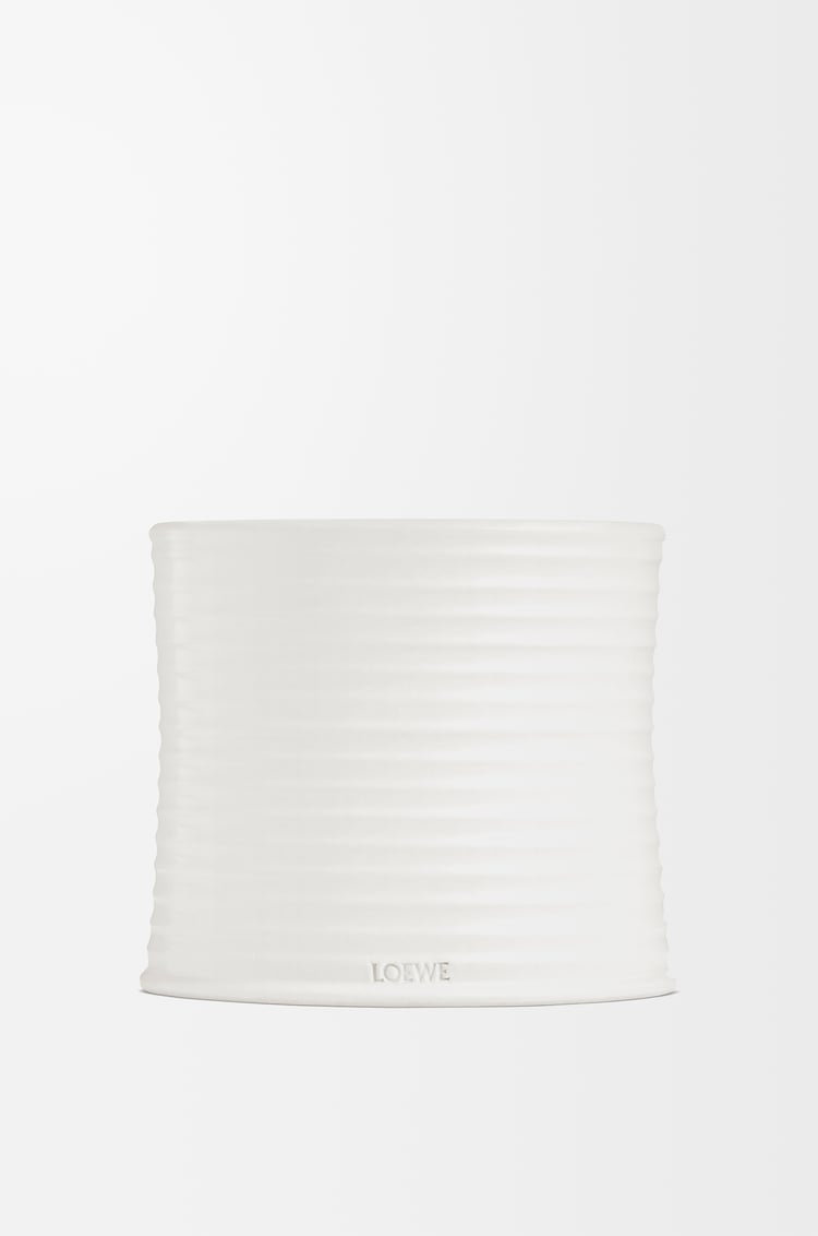 LOEWE Medium Oregano candle White