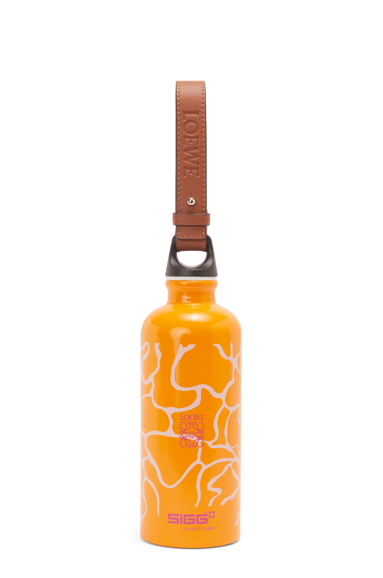 LOEWE BOTTLE In ALUMINIUM/CALF Orange