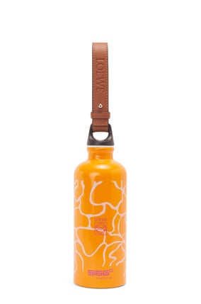 LOEWE 铝质和牛皮革瓶盖水瓶 橙色 plp_rd