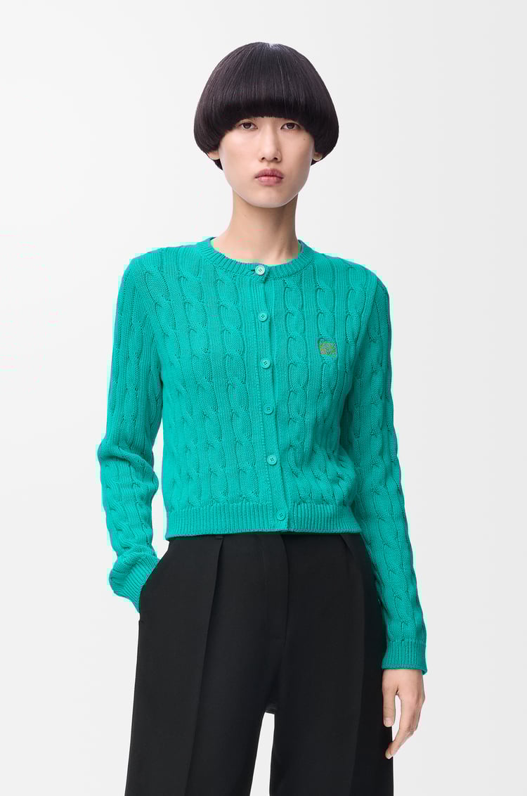 LOEWE カーディガン（コットン） ターコイズ
