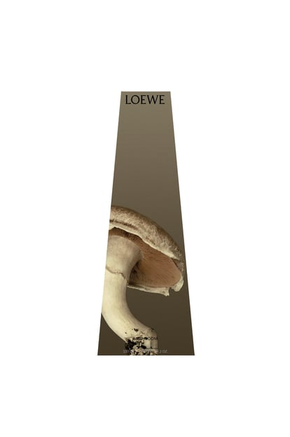 LOEWE Mushroom wax candleholder 淺灰色 plp_rd