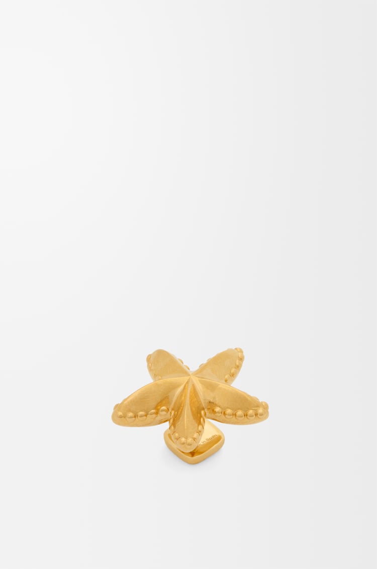 LOEWE Pin Estrella de mar Dorado