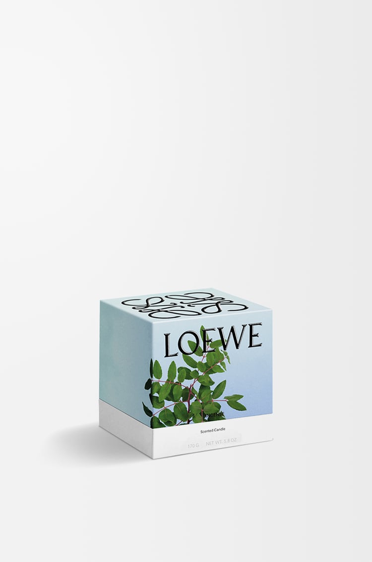 LOEWE Small Incense candle Dark Blue