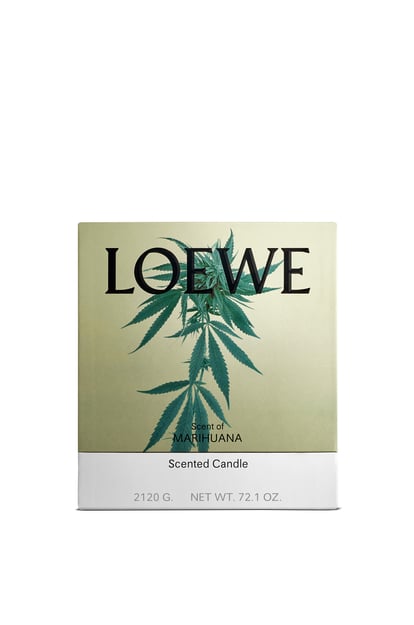 LOEWE Grande bougie Scent of Marihuana VERT FONCÉ plp_rd