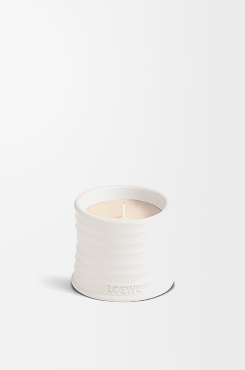 LOEWE Small Oregano candle White