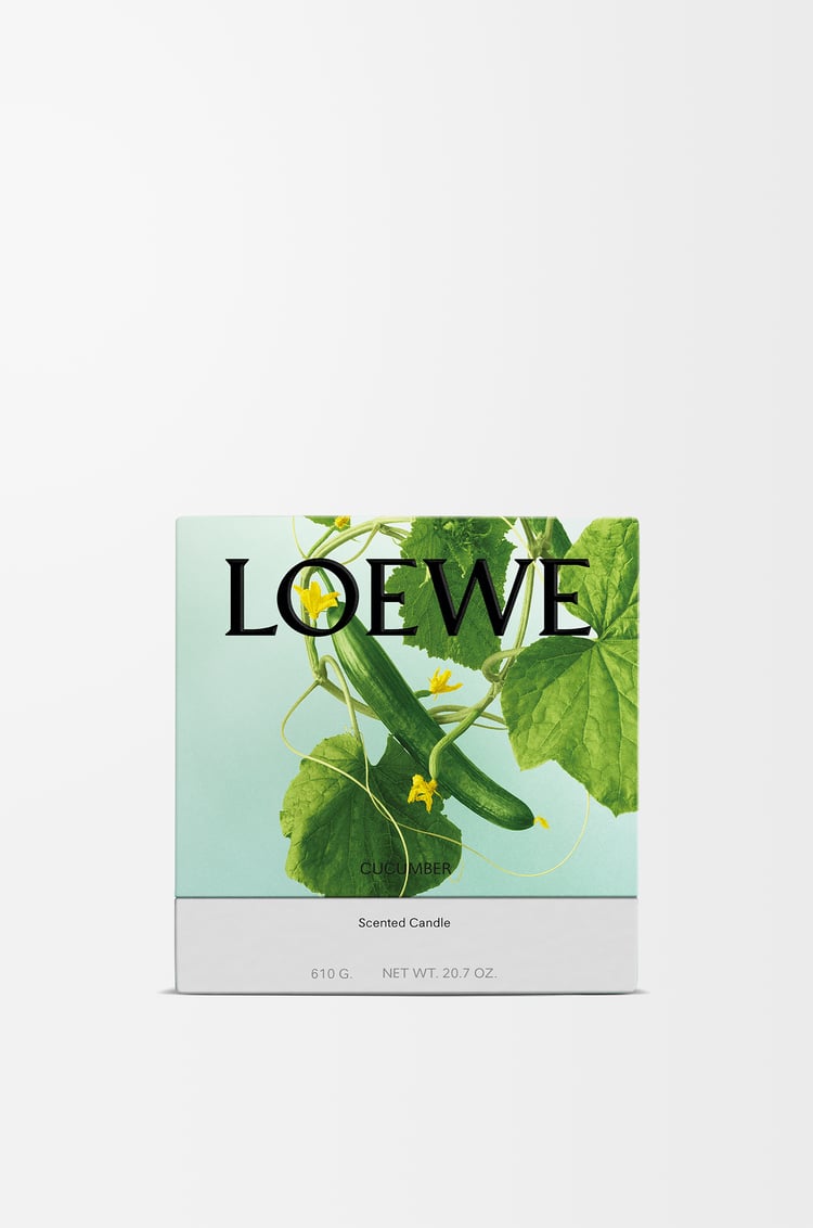 LOEWE キューカンバー キャンドル ミディアム ライトグリーン