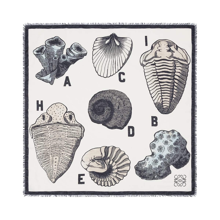 LOEWE 120X120 FOSSIL PRINT SCARF White