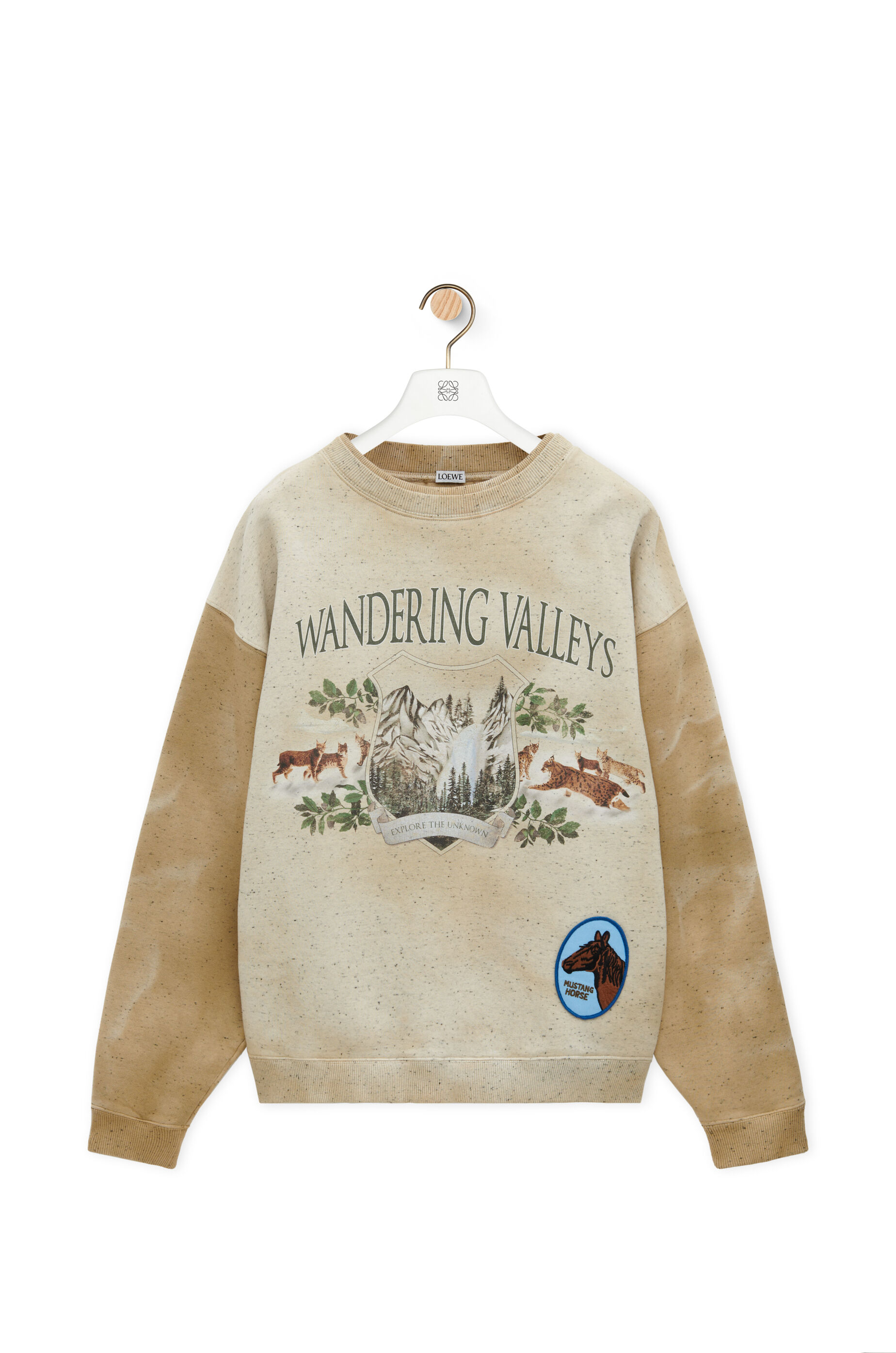 Men Sweatshirt Luxury Hoodie Designer Sweatshirts Loewe LOEWE
