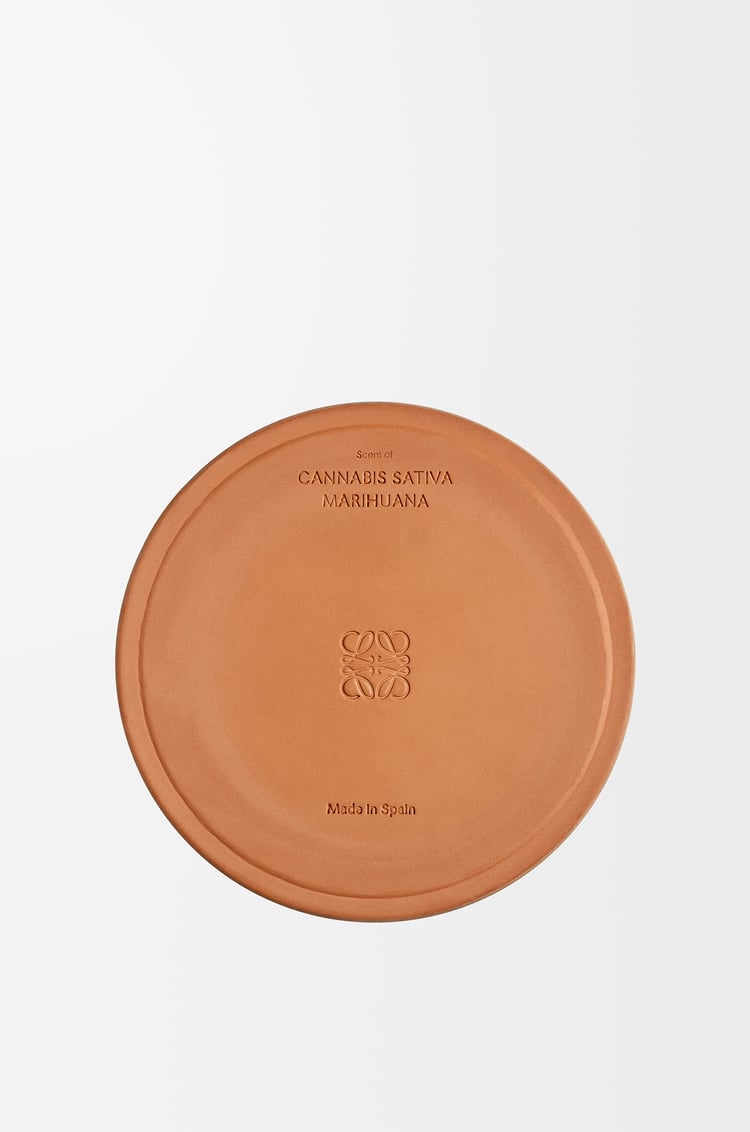 LOEWE Vela grande Scent of Marihuana Verde Oscuro