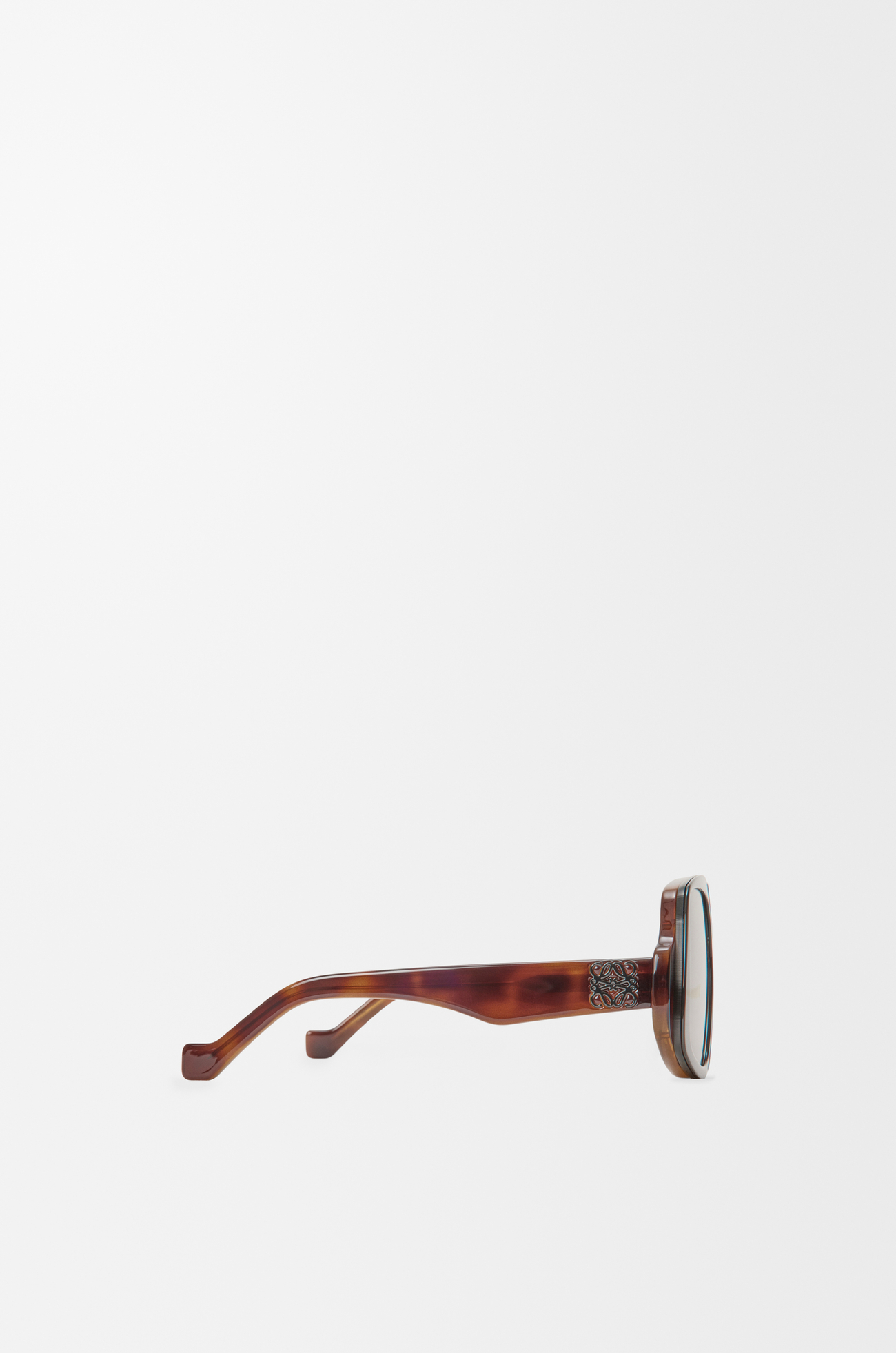 LOEWE Gafas de sol Collage Habana Brillante