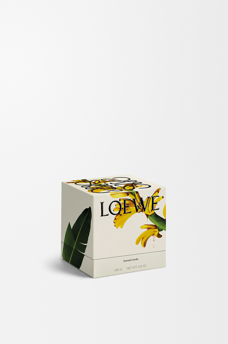 LOEWE バノフィー キャンドル ミディ ブロンズ